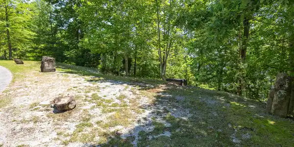 Image 4: A-14