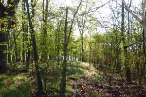 Lot 179 Echota Lane