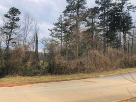 Lot 140 Tumbleweed Trail