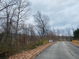 Lot 24 Shiloh Springs Rd