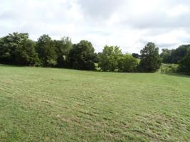 Lot 67 Cowpoke Lane