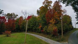 Lot 4 Chilhowee Ln