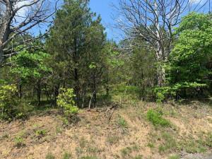 16.69 Muddy Creek Rd/Lakefront Drive