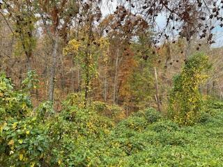 Lot 108 Stone Bridge Dr Drive