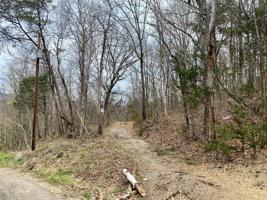 13 ac Wolfe Rd