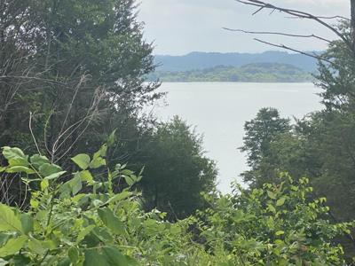 Lot 37 Quiet Cove Way