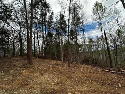 Lot 3 Timberlake Circle