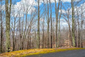 404 FOREST LN