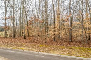 Lot 34 Blount Circle