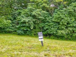 Lot 228 Jade Ln