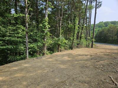 Lot 57 Bootbluff Trail