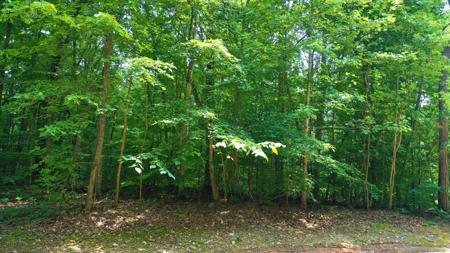 Lot 59 Blount Circle