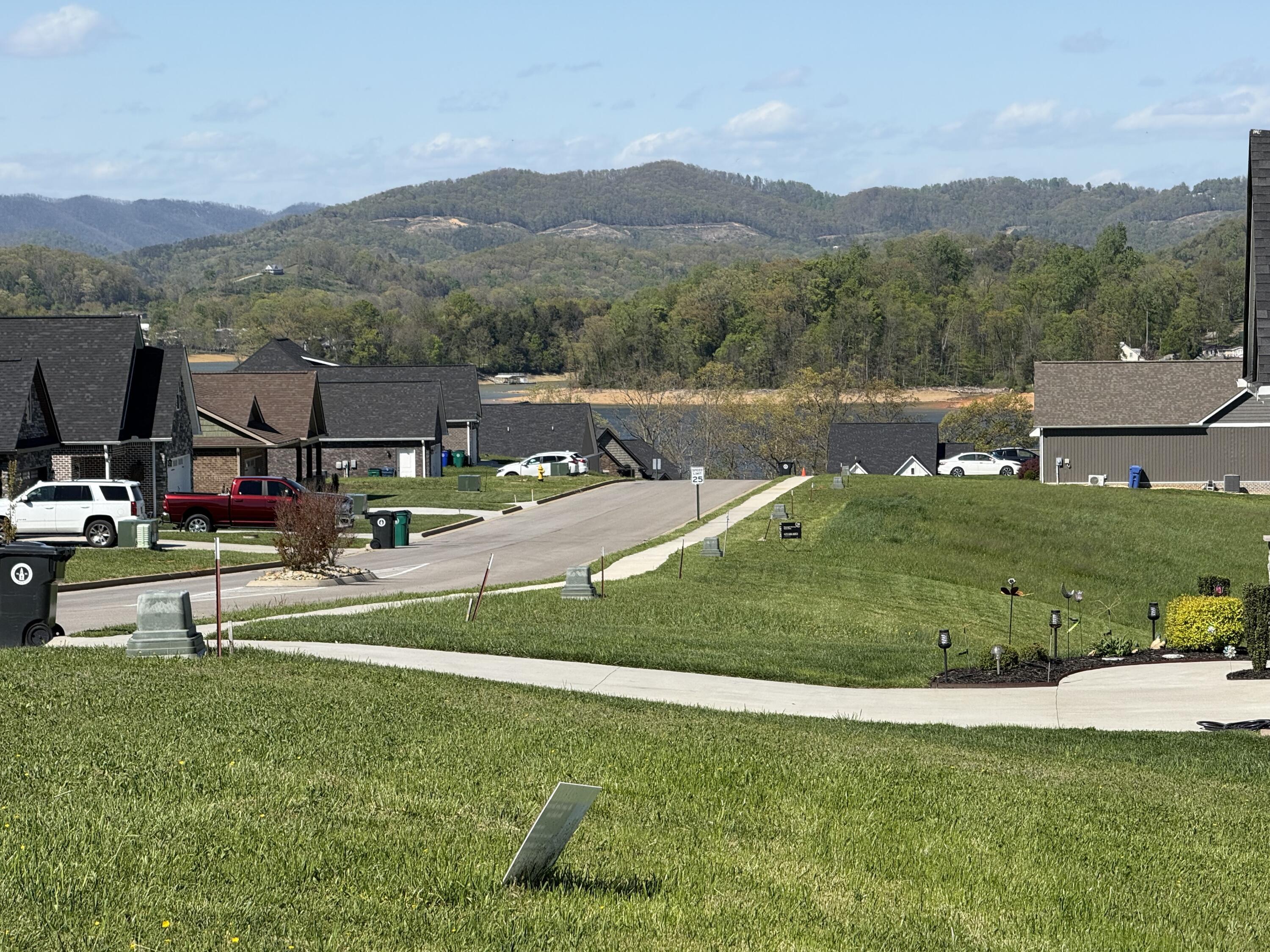 Image 3: IMG_1583