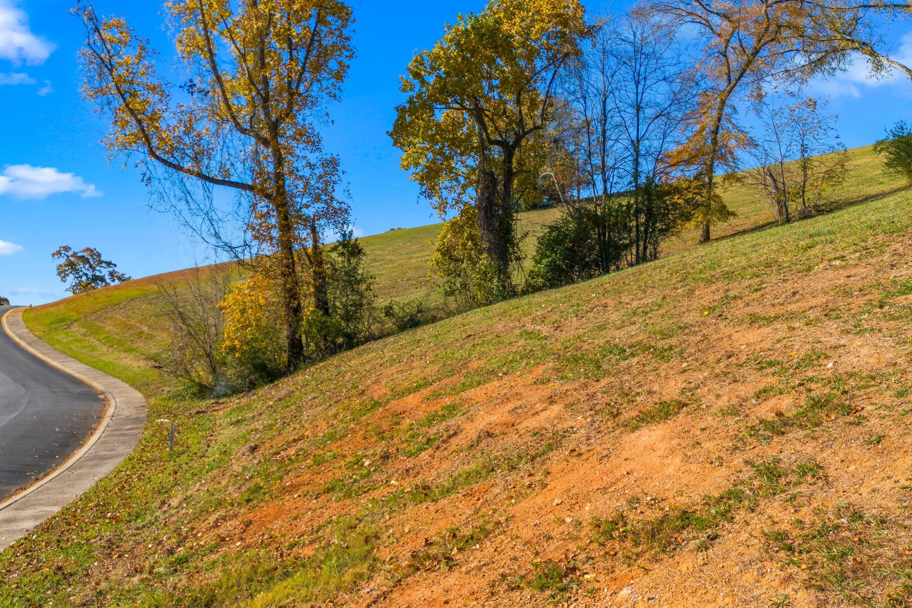 Image 4: 012-2441StarboardCrestRoad-Morristown-TN