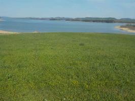 Lot 8 Turley Mills Drive