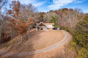 561 WHITE LN
