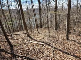 Lot 58 Mountain Shores Road