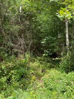 0 Mountain Shores Rd