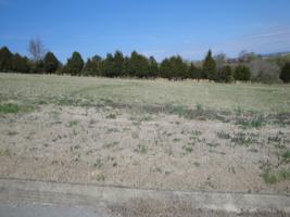 Lot 15 Pocahontas Lane