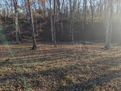 Lot 6 Cypress Drive