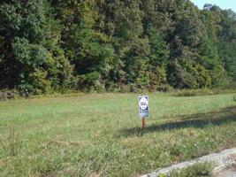 Lot 11 Redbird Lane