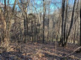 Lot 123 Chimney Rock Road