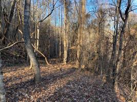 Lot 124 Chimney Rock Road