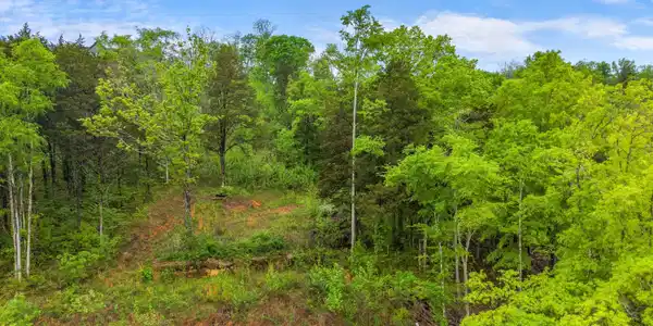 Image 3: 002-843ClearSailWay-Dandridge-TN-37725-S