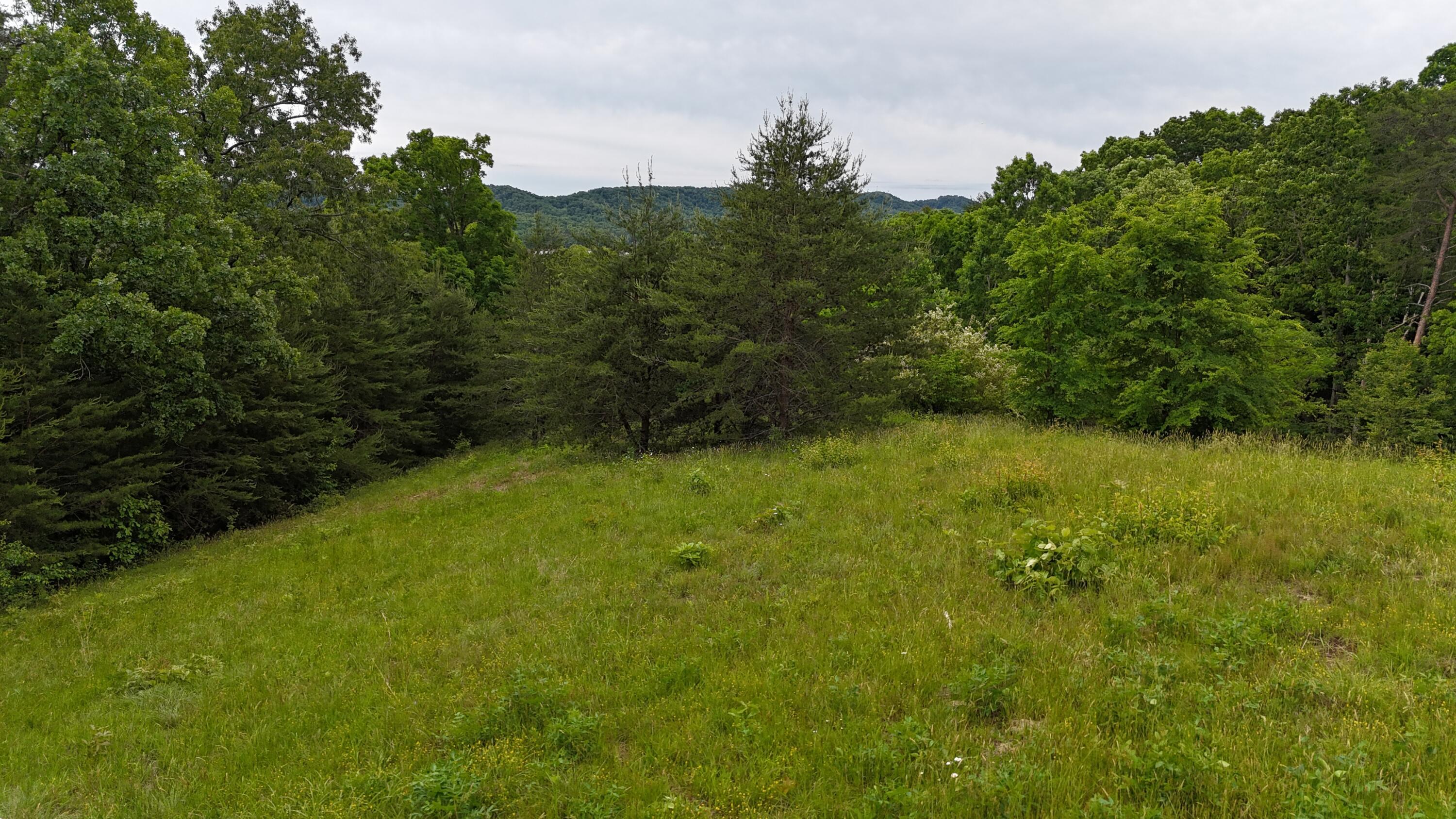 Image 2: View 1