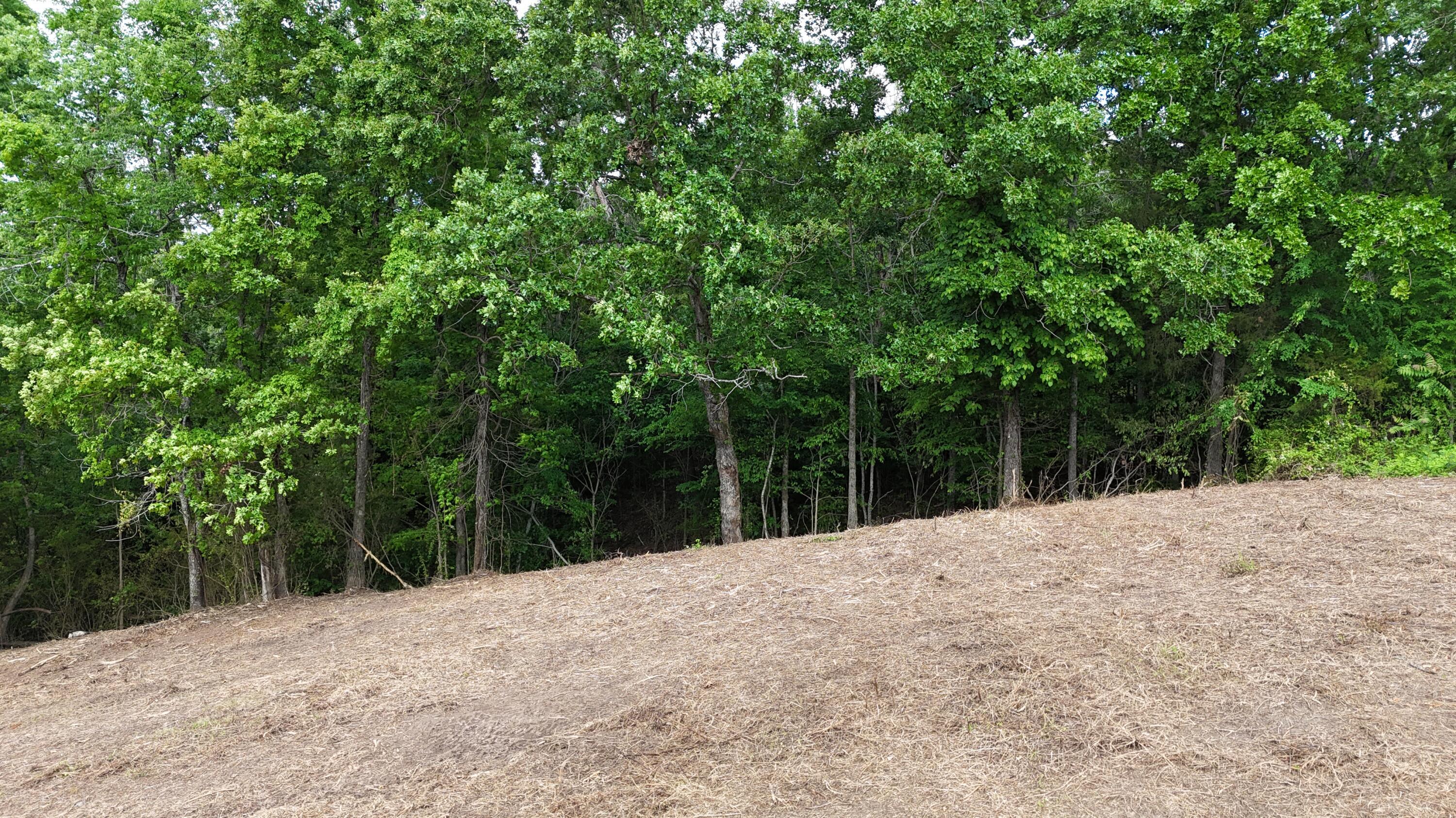Image 4: Rear of property