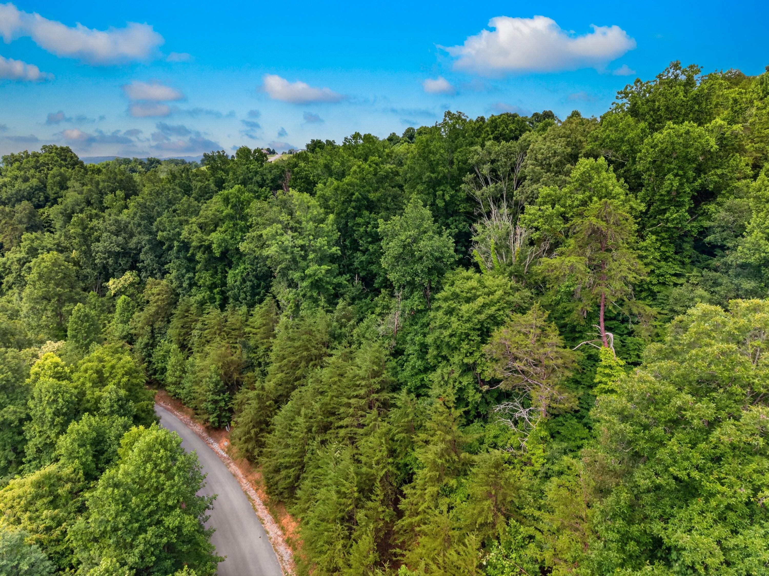 Image 3: 003-SilverTrail-NewTazewell-TN-37825-SMA