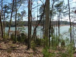 Lot 63R 420 Chelaque Way