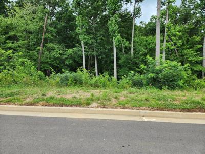 Lot 28 Bridgewater Blvd.