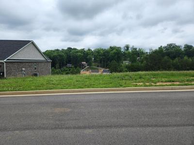 Lot 100 Shoreline Vista