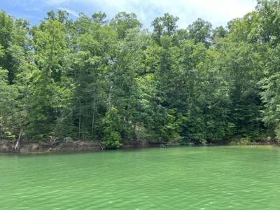 Par 045 Slover Springs