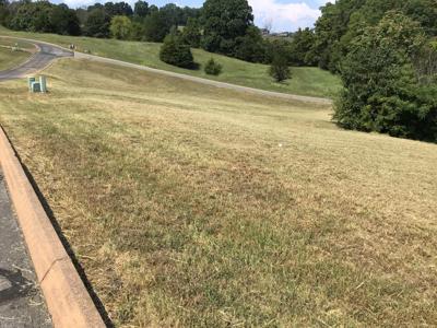 Lot 41 Shiloh Springs Road