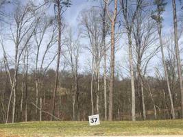 Lot 37 Bridgewater Blvd