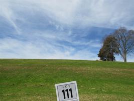 Lot 111 Bridgewater Blvd