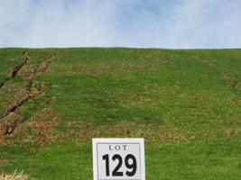 Lot 129 Bridgewater Blvd