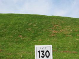 Lot 130 Bridgewater Blvd
