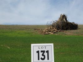 Lot 131 Bridgewater Blvd