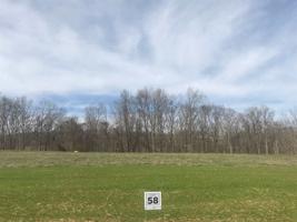 Lot 58 Shoreline Vista