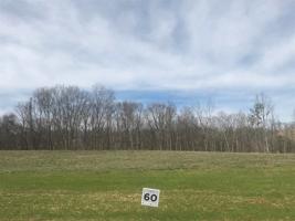 Lot 60 Shoreline Vista