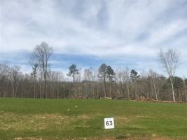 Lot 63 Shoreline Vista