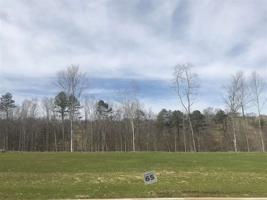 Lot 65 Shoreline Vista