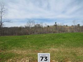 Lot 73 Shoreline Vista
