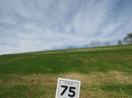 Lot 75 Shoreline Vista