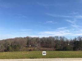 Lot 99 Shoreline Vista