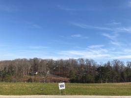 Lot 100 Shoreline Vista