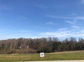 Lot 101 Shoreline Vista